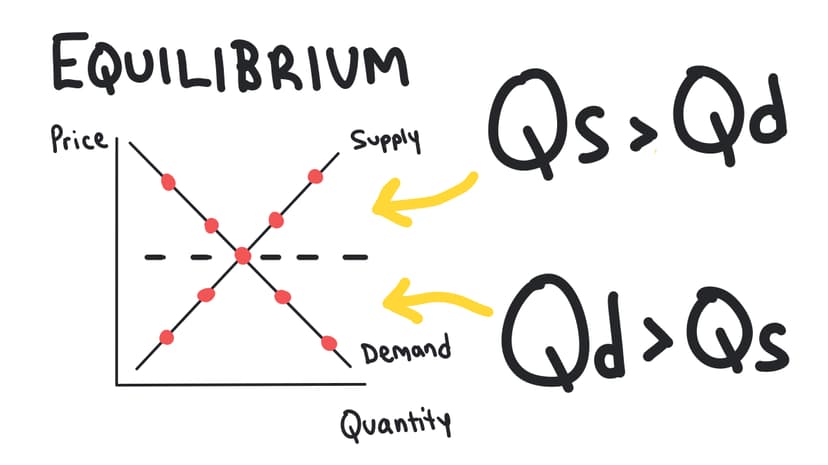 Equilibrium, Disequilibrium, and Changes in Equilibrium 1 copy 13