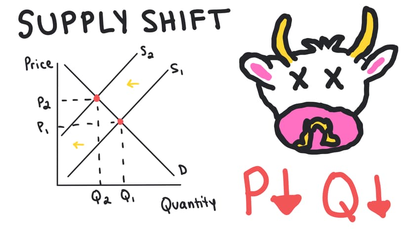 Equilibrium, Disequilibrium, and Changes in Equilibrium 1 copy 20